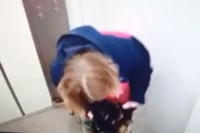 Свердловскую дрессировщицу собак обвинили в избиении животных