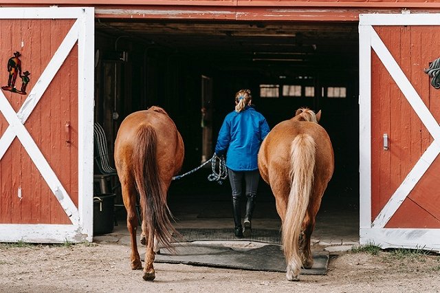 На Урале школьник погиб из-за испугавшейся лошади