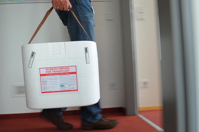 Первым кандидатом на пересадку своей головы стал русский программист