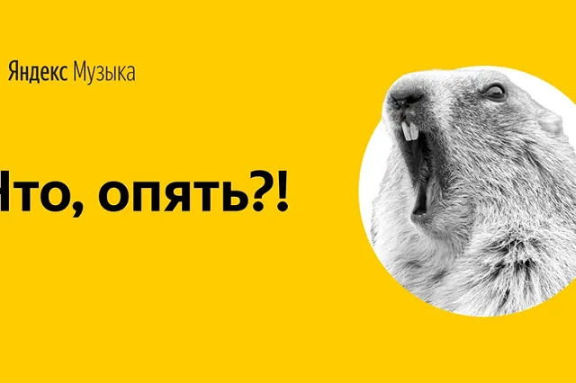 Екатеринбуржец прослушал песню «В лесу родилась ёлочка» 253 раза