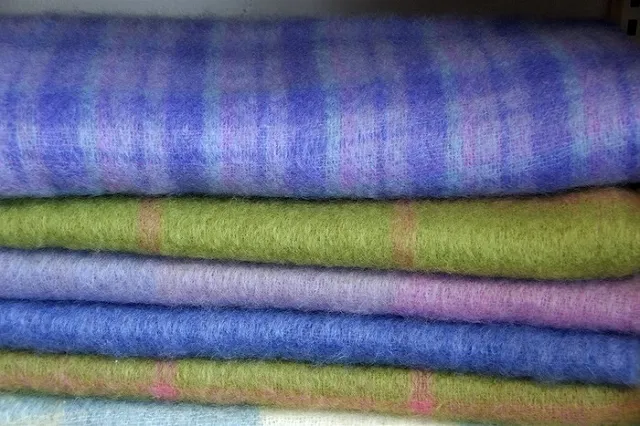 Екатеринбургский зоопарк попросил подарить пледы орангутану Захару (ФОТО)