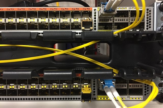 После смертельной аварии с Михаилом Ефремовым Госдума создаст федеральный реестр алкоголиков