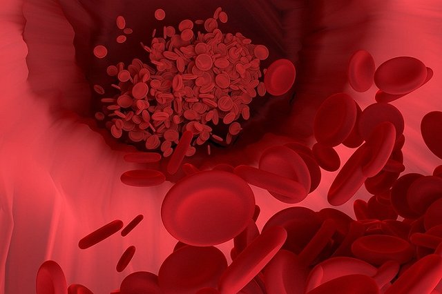 Терапия «старости»: найден белок, омолаживающий дряхлую кровь