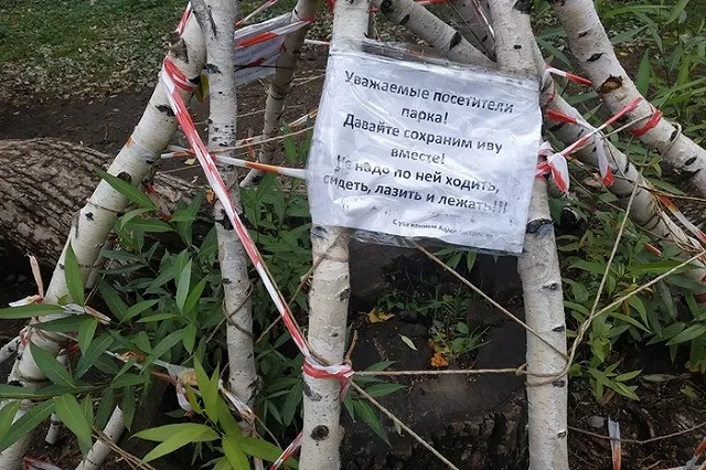 Дендропарки Екатеринбурга объявили «персонами нон грата» самокатчиков