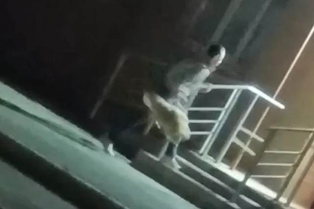 Екатеринбуржец расправился со своим шпицем