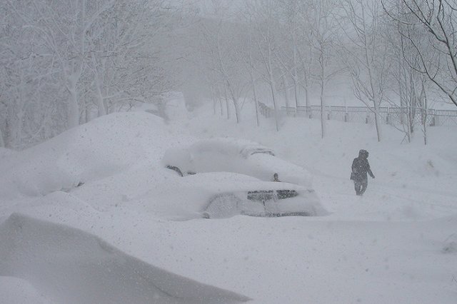 Штормовое предупреждение: синоптики прогнозируют сильный ветер