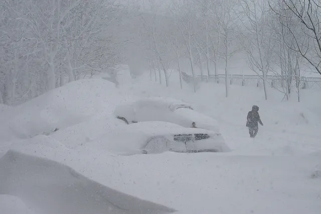 Штормовое предупреждение: синоптики прогнозируют сильный ветер