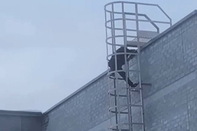 Екатеринбуржцев напугал мужчина, который проник на территорию школы на Уралмаше