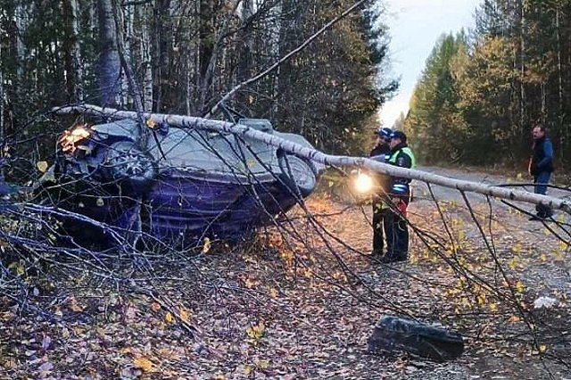 Два человека в Honda Civic погибли в ночном ДТП на севере Свердловской области