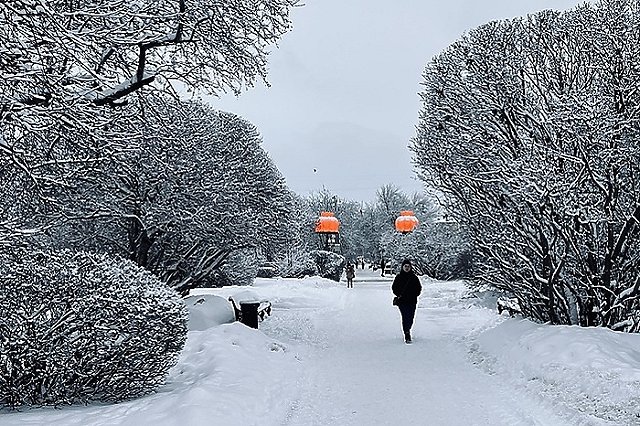 Главный свердловский синоптик рассказала, какой будет погода зимой