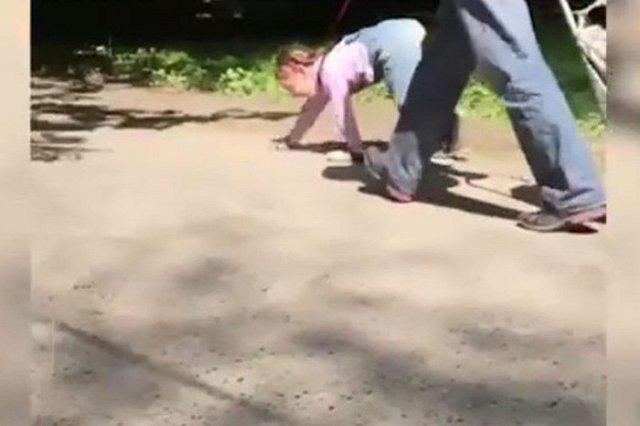 Детский омбудсмен: Семью гулявшей на поводке девочки пора оставить в покое