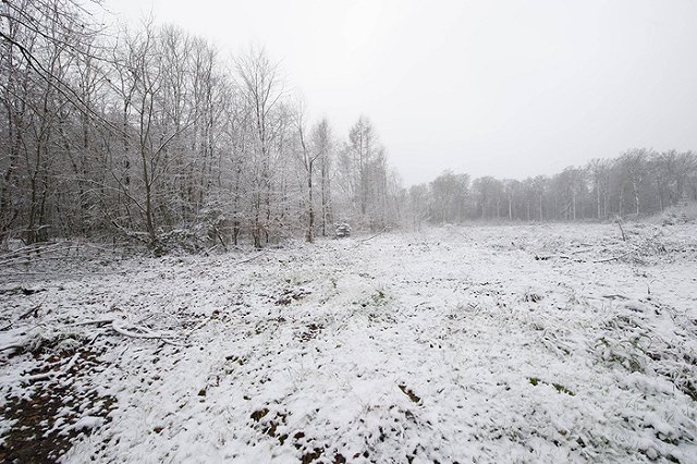 Под Саратовом в поле нашли замерзшего до смерти автолюбителя