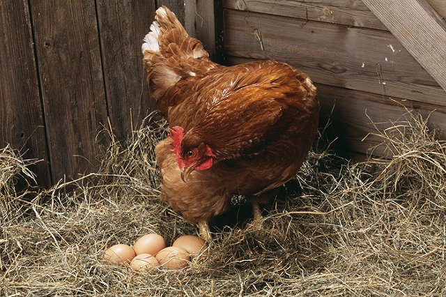 В Байкалово не смогли объяснить, почему у них самые дорогие продукты в России