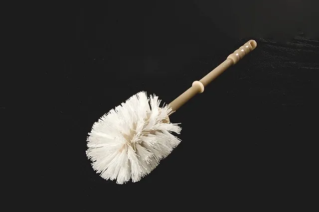 Предпочитающий туалетную бумагу ершику пользователь стал звездой сети