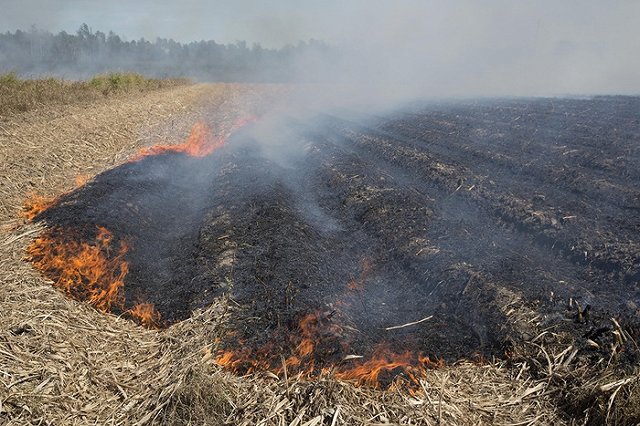 Пенсионер сгорел вместе с домом после неудачного субботника на Южном Урале