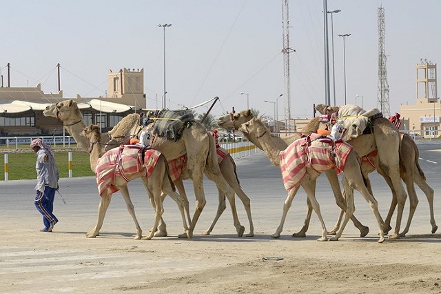 Катар отверг обвинения в нарушении правил ФИФА для проведения ЧМ