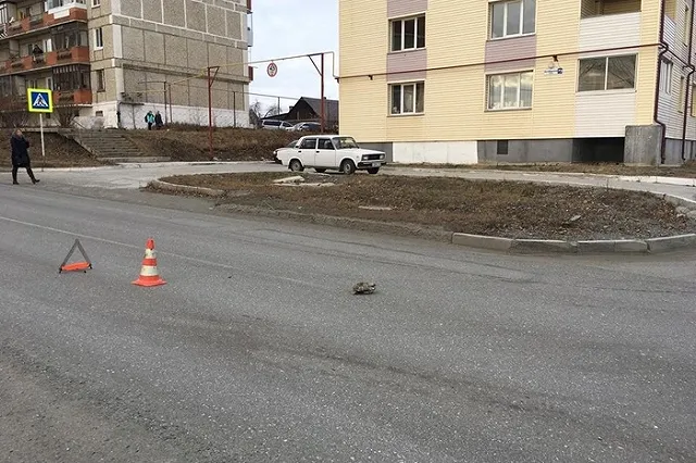 На Урале мальчик покалечился, выбежав за мячом со спортплощадки