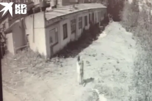 Насильник попросил провести следственный эксперимент на своей 18-летней жертве