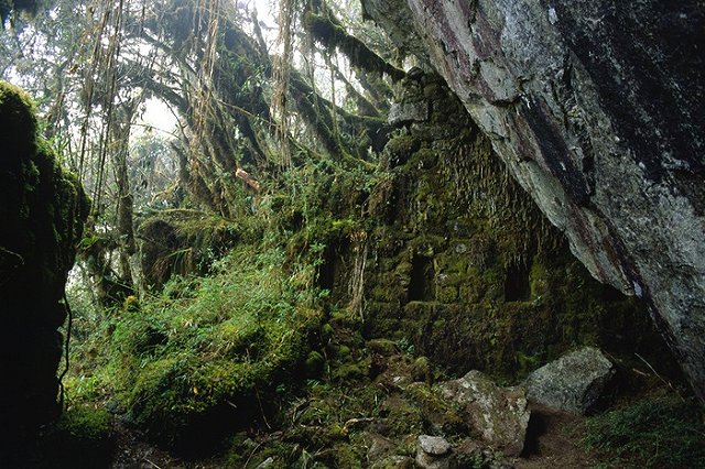 Ученые сообщили об уничтожении памятника археологии XII века в Приморье