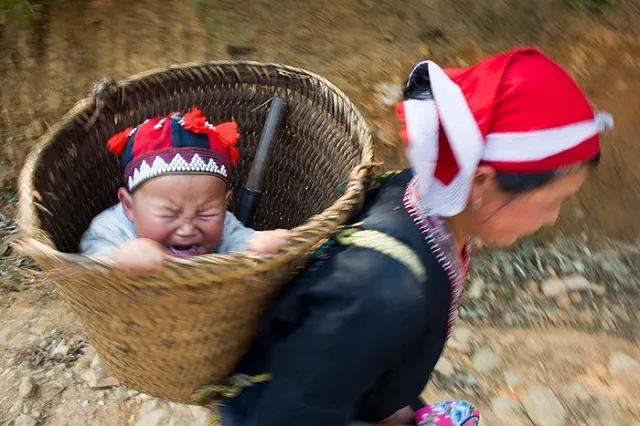Каролина-Канзада, Одиссей и Рагнар родились в Свердловской области в 2016 году