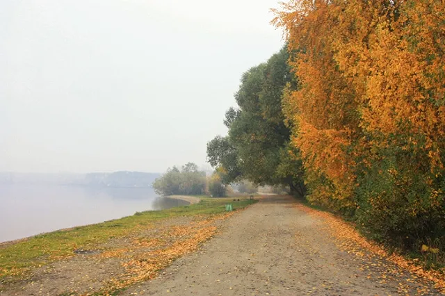 Алексей Беззуб вызвал директора Шарташского лесопарка на дебаты