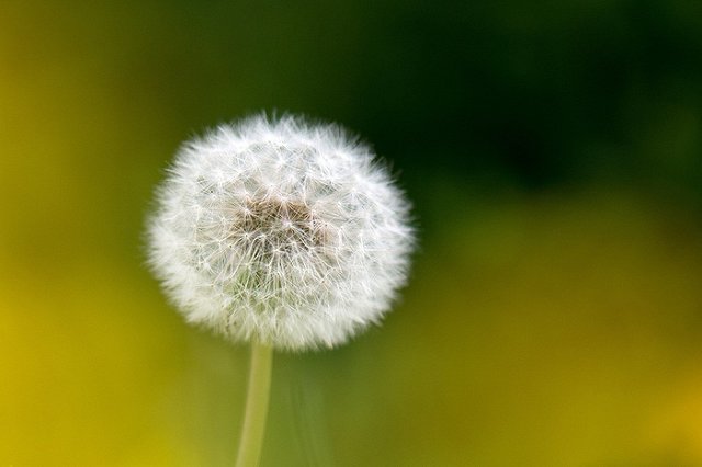 Суд прекратил дело бизнесмена Юдина, обвинявшегося в насилии над детьми