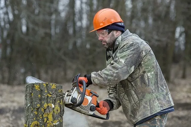 В Горсвете рассказали, как пенек попал в провода