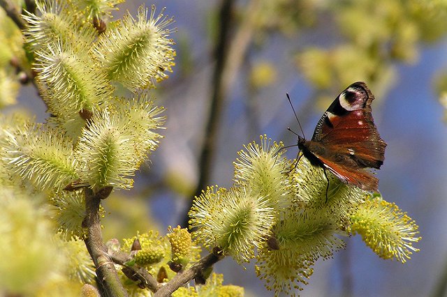 Метеорологи рассказали, какой будет весна на Урале