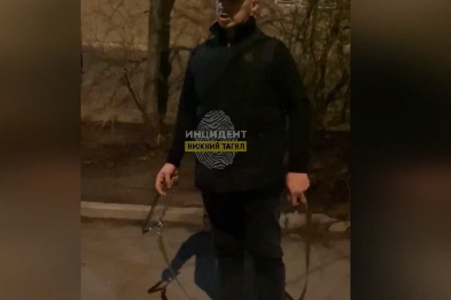Свердловчанин натравил своего пса на беспомощную дворнягу