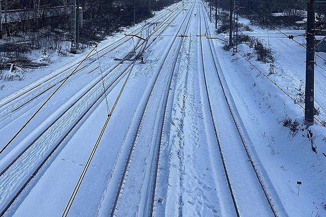 Тела двух замёрзших насмерть человек нашли в свердловском лесу