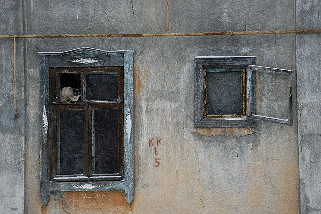 Военком из Татарстана со знакомым делал бизнес на добровольцах-контрактниках