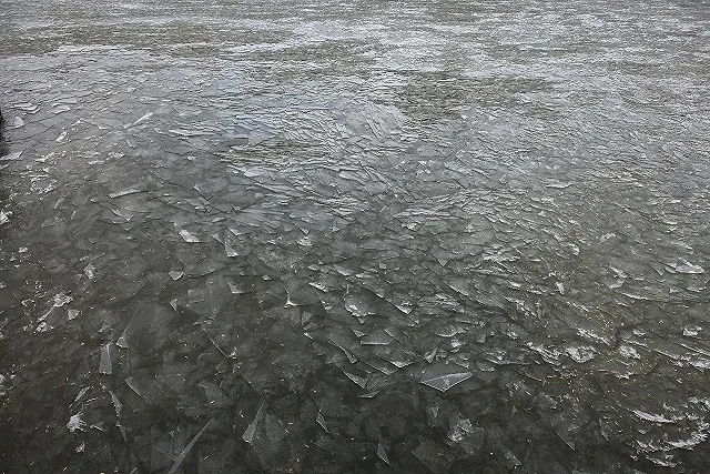 Вышедший на лед ребенок утонул в Свердловской области