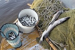 Из-за срыва поставок в Якутии люди дерутся за еду