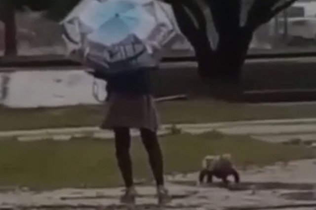 В Великом Новгороде устанавливают личность женщины, выгуливавшей малыша в луже