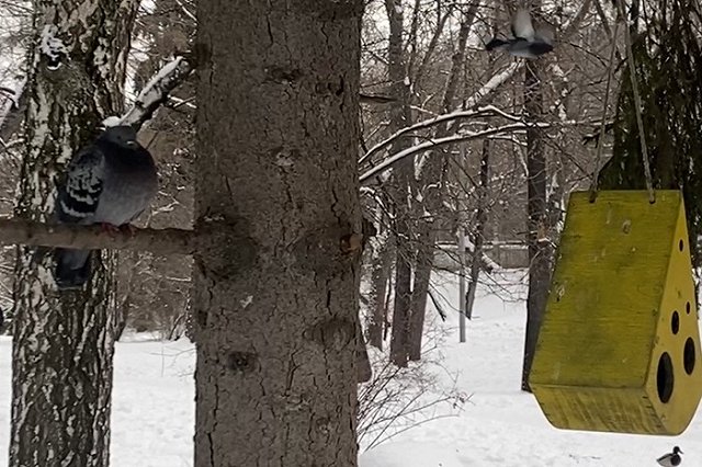 В Свердловскую область придет аномальная весенняя оттепель