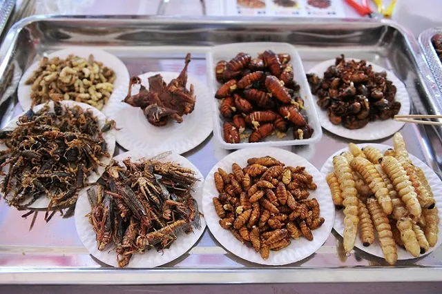 Учёные: сверчков есть можно и нужно, это полезно для кишечника