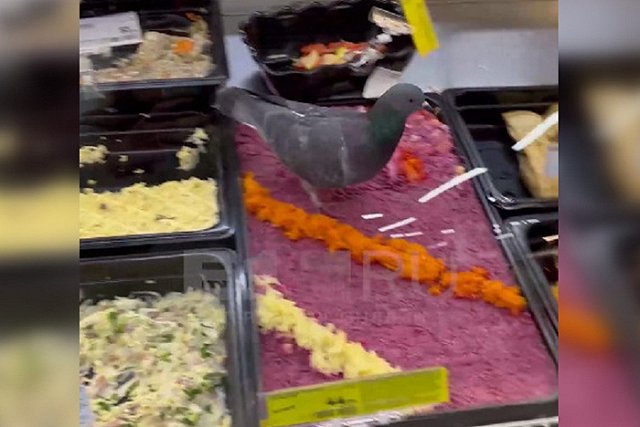 Голубь под шубой? В популярном у свердловчан продуктовом по салатам ходят птицы