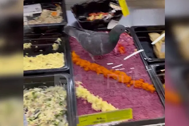 Голубь под шубой? В популярном у свердловчан продуктовом по салатам ходят птицы