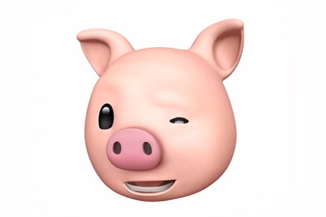 Мошенник «из Екатеринбурга» прислал жителю ХМАО полкило земли вместо IPhone Х