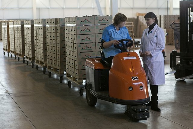 Глава Минсельхоза Ткачев дал прогноз о продовольственной инфляции до конца года