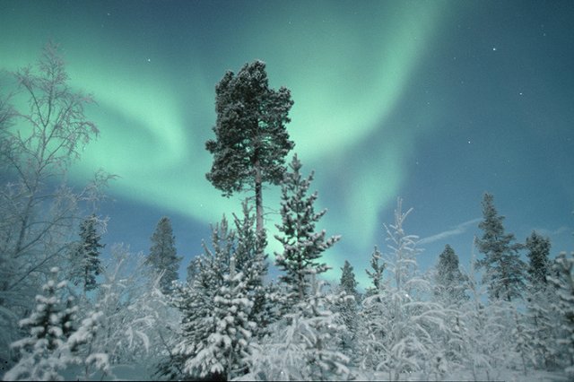На Ямале начали работу три магнитометра