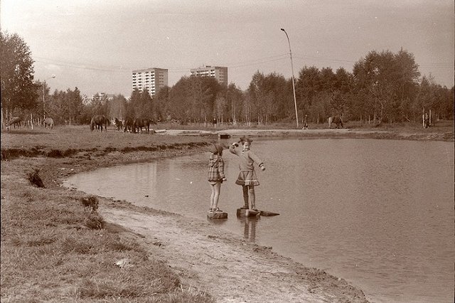 Утверждена концепция благоустройства парка имени 50-летия ВЛКСМ на Ясной