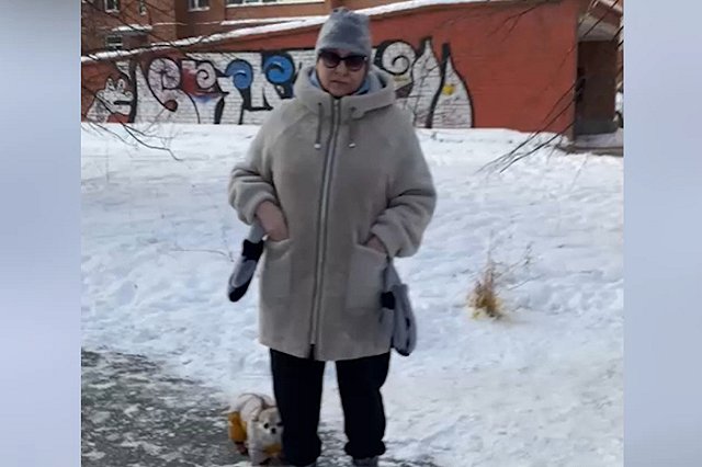 В екатеринбургском дворе женщина напала на соседку из-за собаки