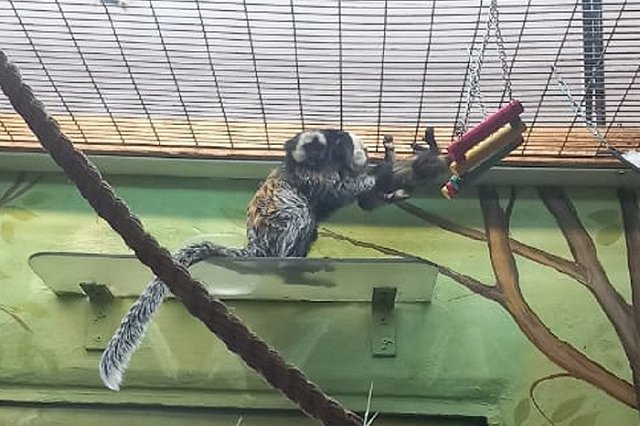 В Екатеринбурге Гермиона и Рон Уизли стали родителями