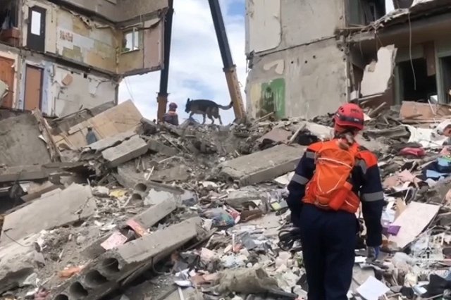 Людей под завалами дома в Нижнем Тагиле искала собака, работавшая на землетрясении в Турции