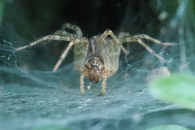 Нейробиолог назвал, вероятно, самый ранний признак деменции у людей среднего возраста