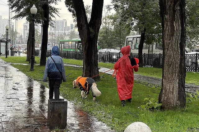 Синоптики сообщили, сколько на самом деле выпало осадков этим летом в Свердловской области