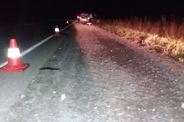 Водитель АТП насмерть сбил пешехода на Режевском тракте