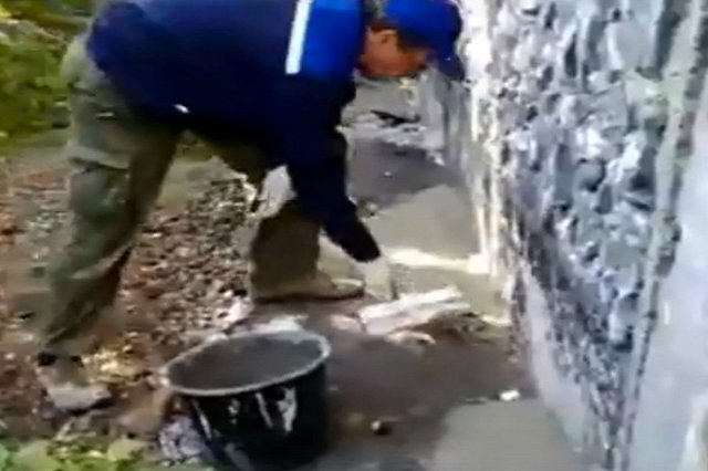 Управляющая компания пожалуется в полицию на волонтёров, спасших замурованных в подвале котят