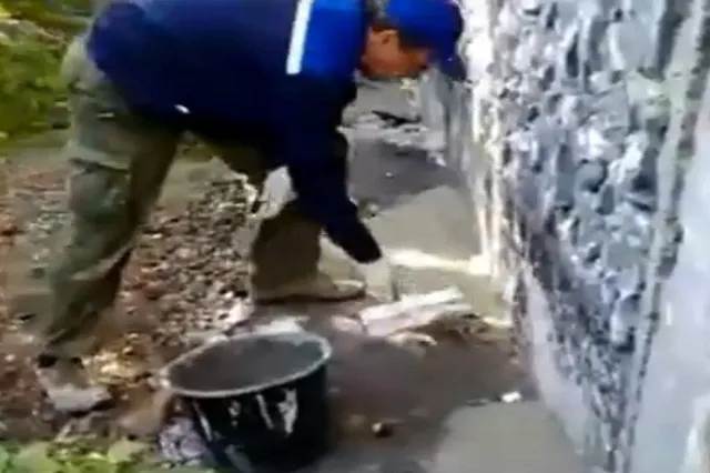 Управляющая компания пожалуется в полицию на волонтёров, спасших замурованных в подвале котят